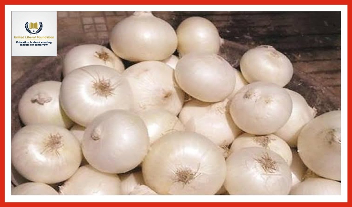 The famed white onion of Alibag in Maharashtra’s Raigad district was given the Geographical Indication (GI) tag 